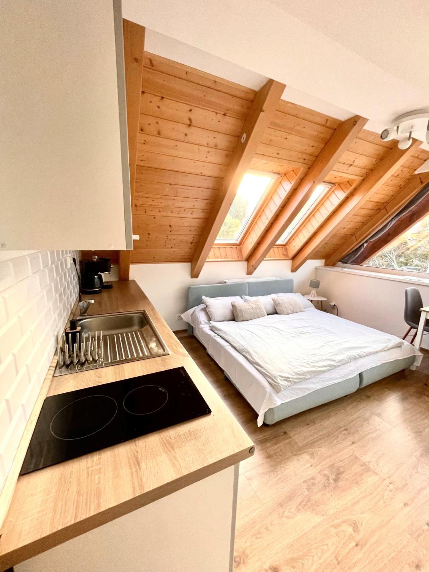 Apartman Riviera 41 リプノ・ナト・ヴルタヴォウ エクステリア 写真